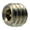 Midwest Fastener #6-40 x 1/8" 18-8 Stainless Steel Fine Thread Hex Socket Headless Set Screws 24 24PK 38921